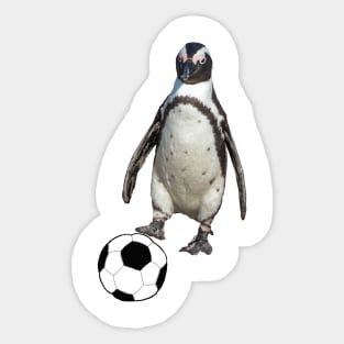 Soccer Sticker